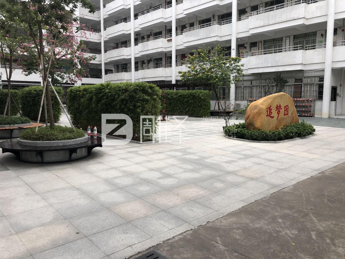 广东广州番禺市桥实验小学户外实木围树椅现场定制(图3)