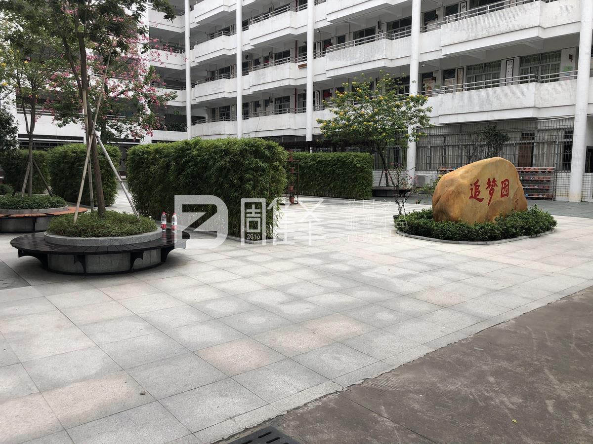 广东广州番禺市桥实验小学户外实木围树椅现场定制(图4)