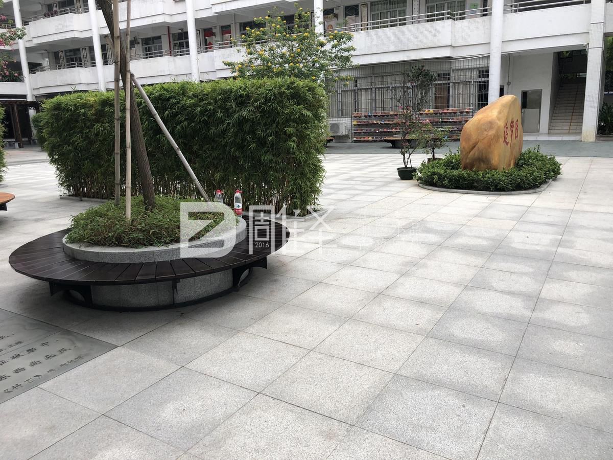 广东广州番禺市桥实验小学户外实木围树椅现场定制(图2)